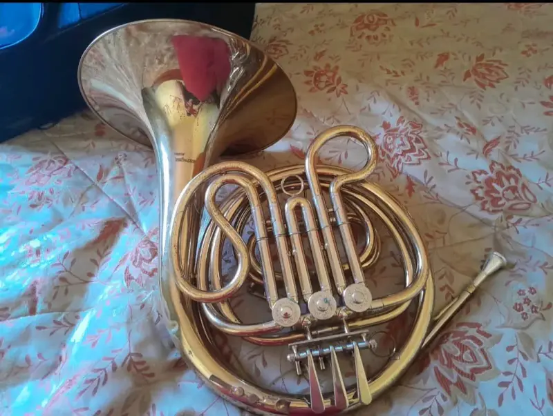 Corno Francés con estuche - 2