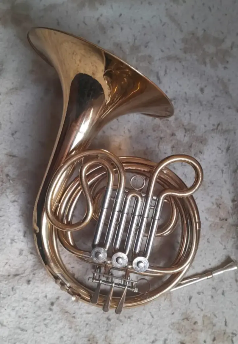 Corno Francés con estuche - 4