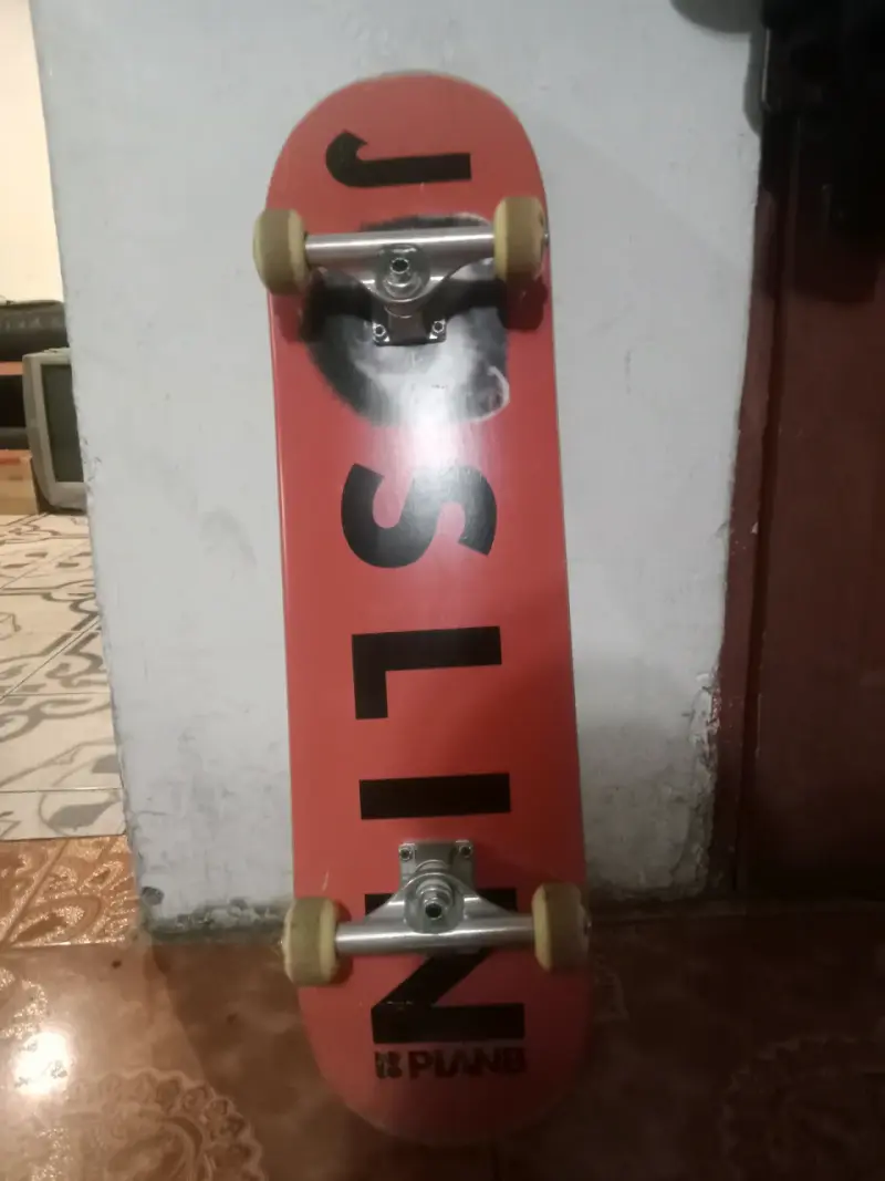 Patineta - 1