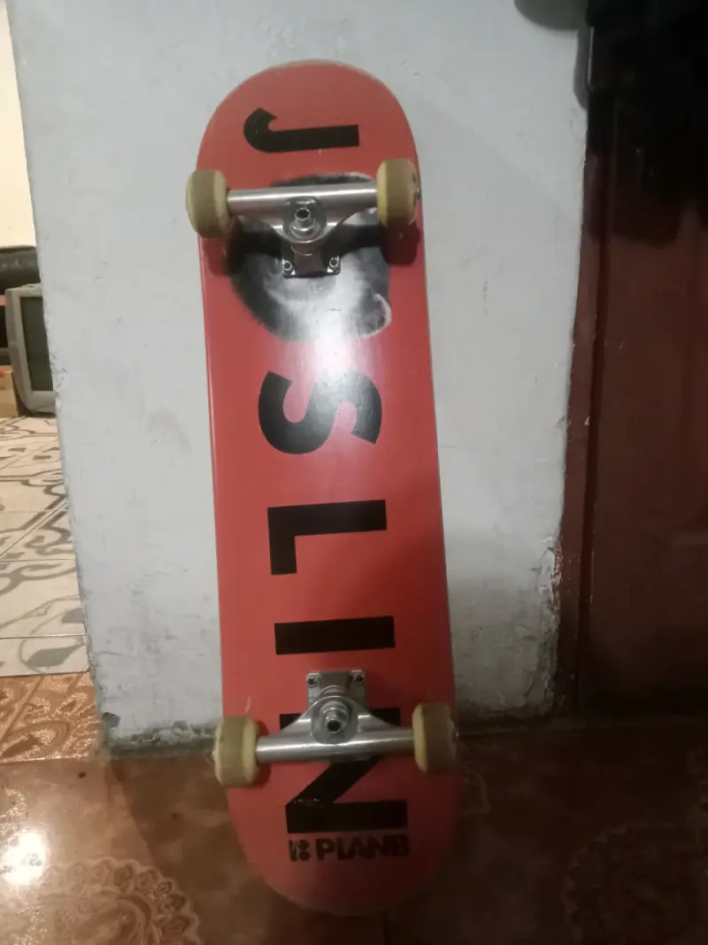 Patineta - 3