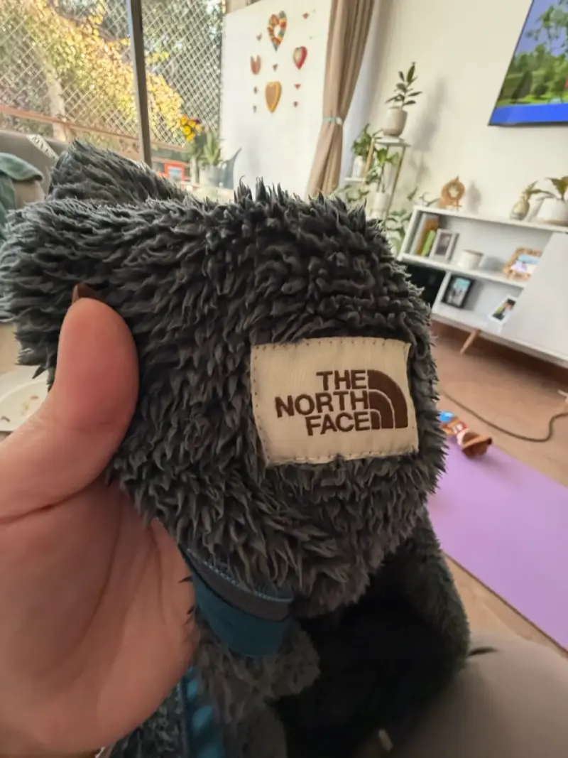 Chaqueta The North Face de peluche - 3