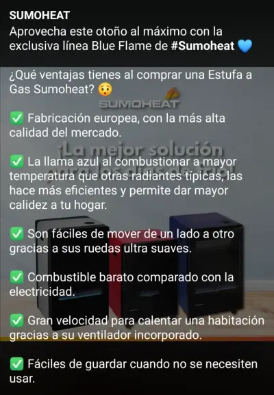 Calefactor FH-4200 a gas - miniatura 2