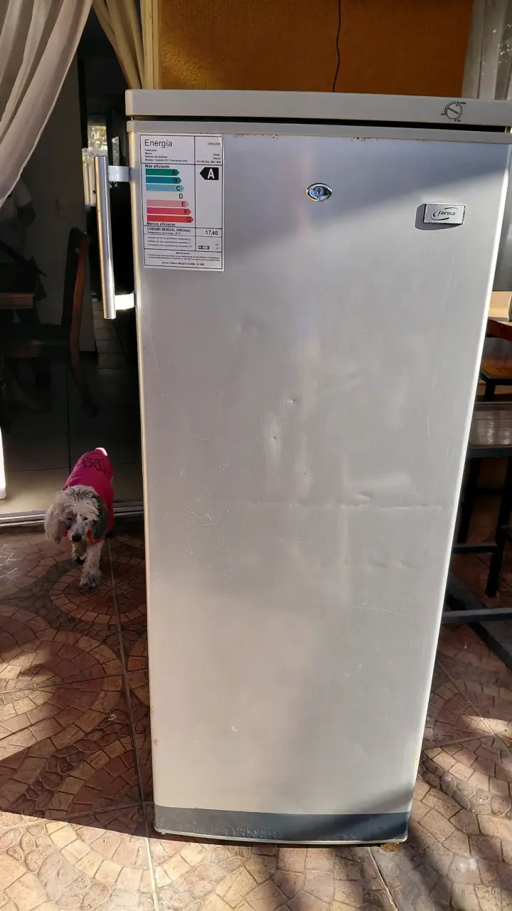Refrigerador Fensa plateado - 1