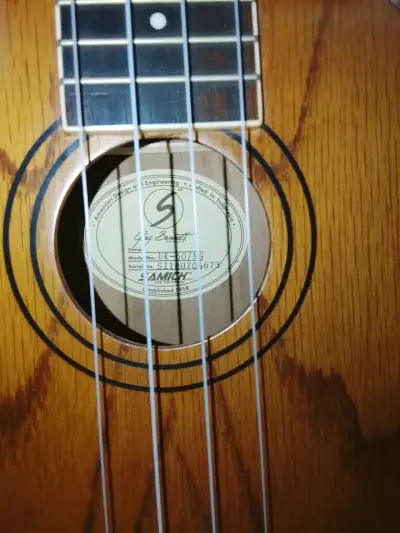 Ukulele con funda Pro-Lok - miniatura 6