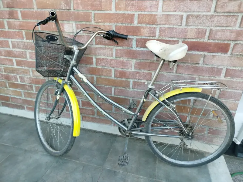 Bicicleta de paseo - 1