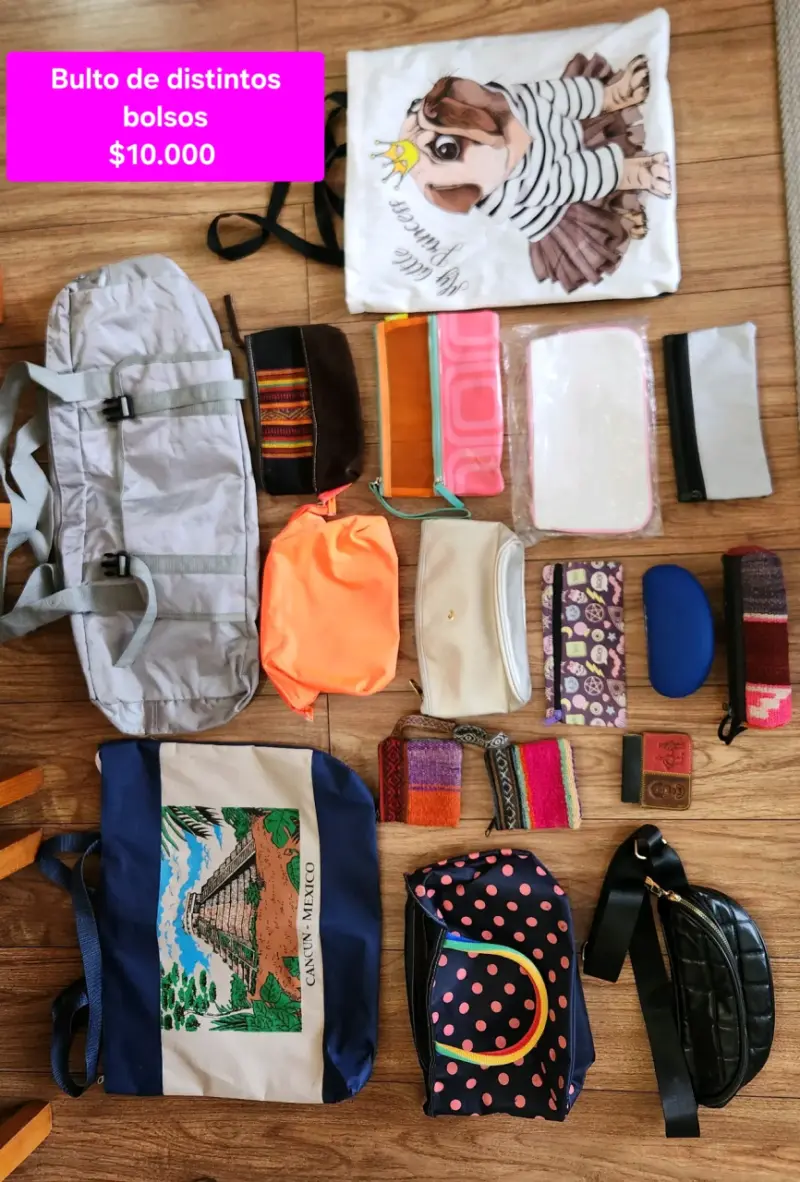 Lote de bolsos y estuches varios - 2