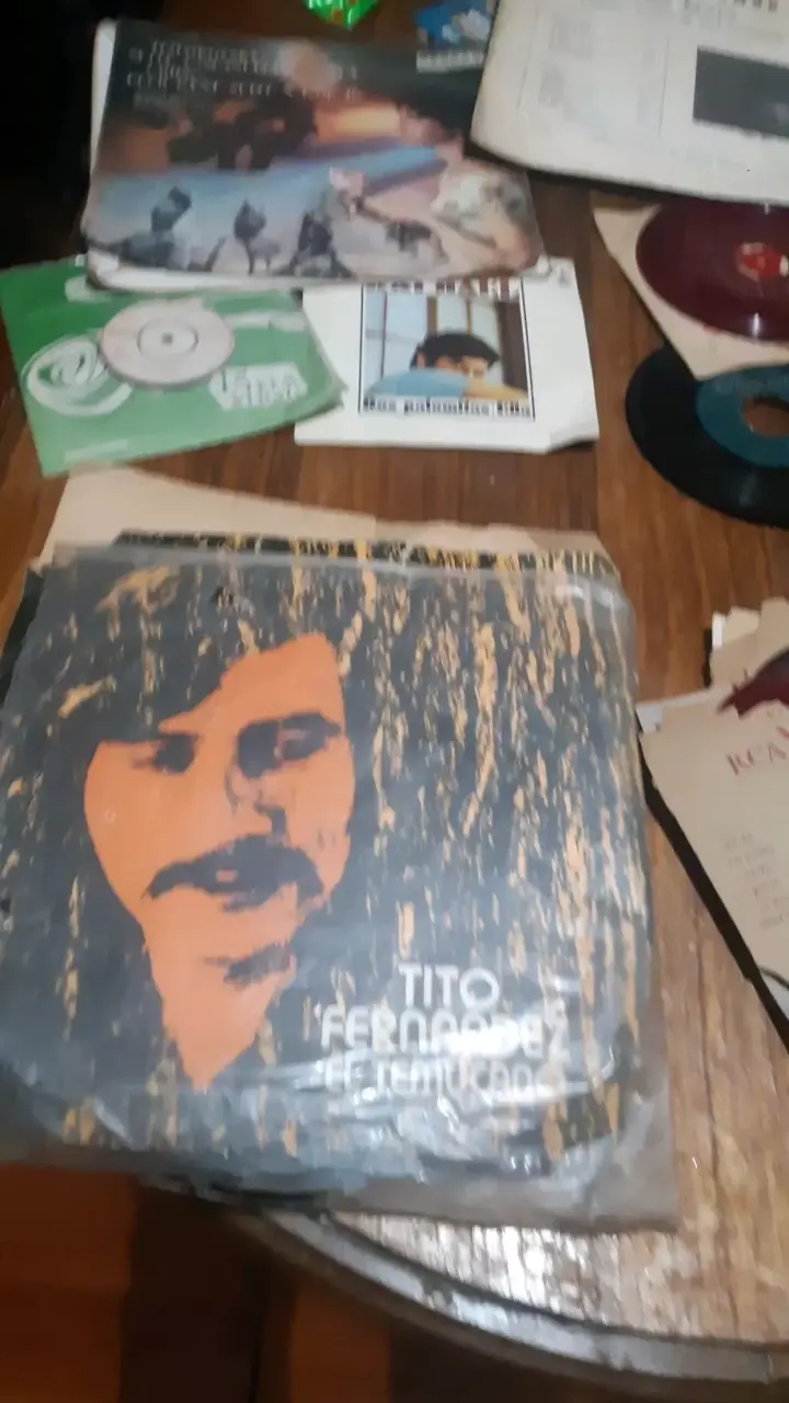Colección de discos vinilo antiguos - 1