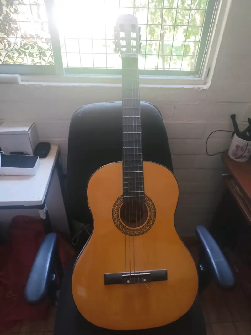 Guitarra clásica de palo