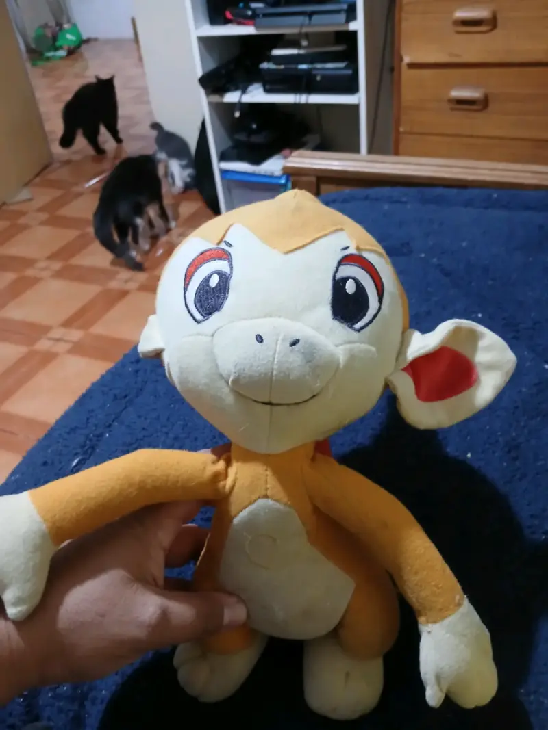 Peluches Pokemon - 3