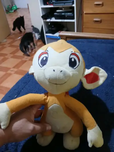 Peluches Pokemon - miniatura 3