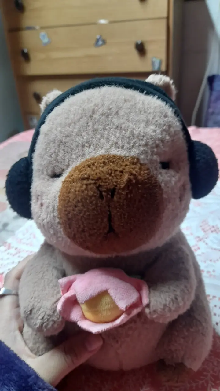 Peluche capibara con audífonos - 3