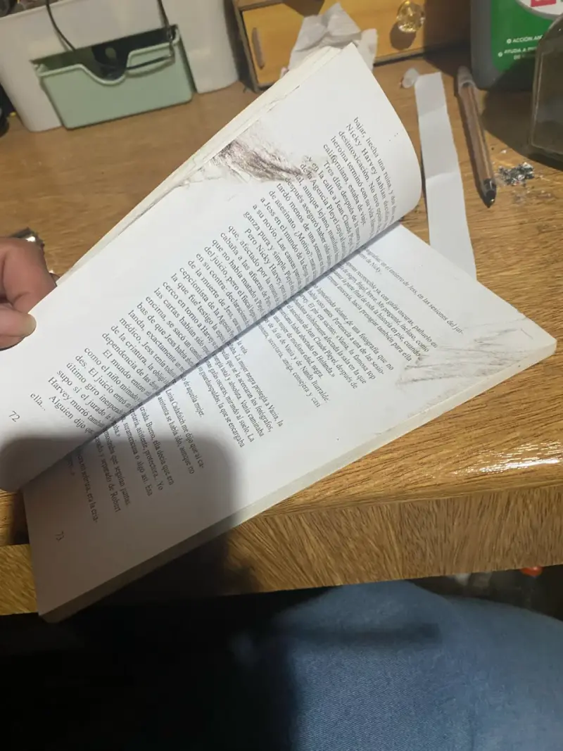 Libro Las chicas de Alambre - 2