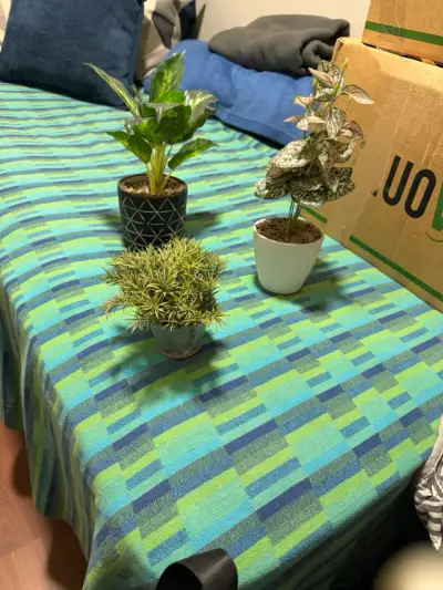 Set de mini plantas decorativas - miniatura 2