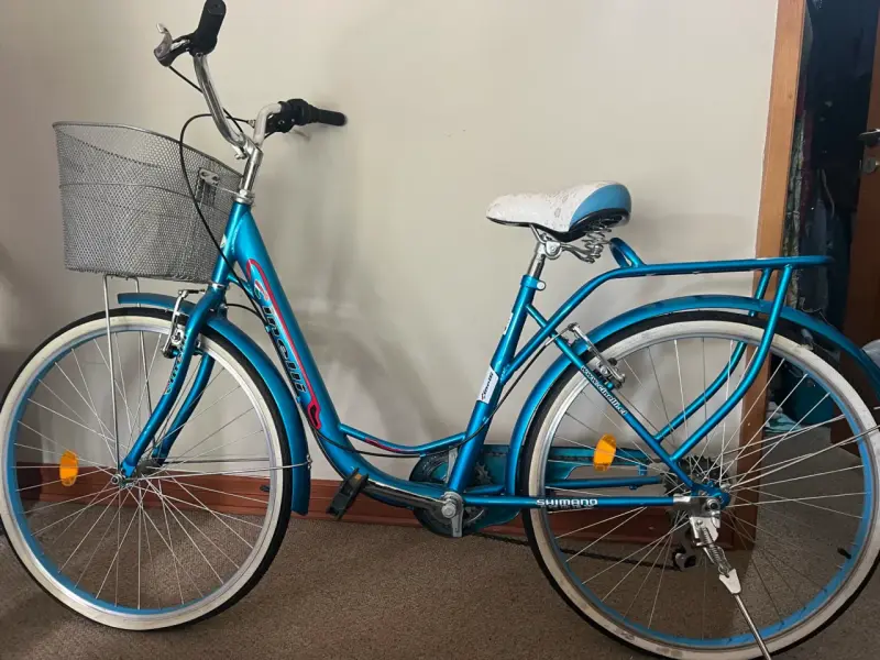 Bicicleta azul urbana con canasto - 2