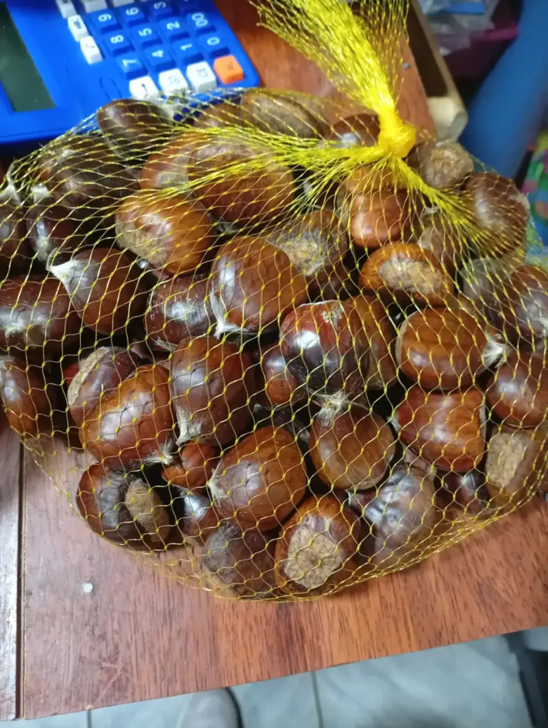 Castañitas deliciosas - 1