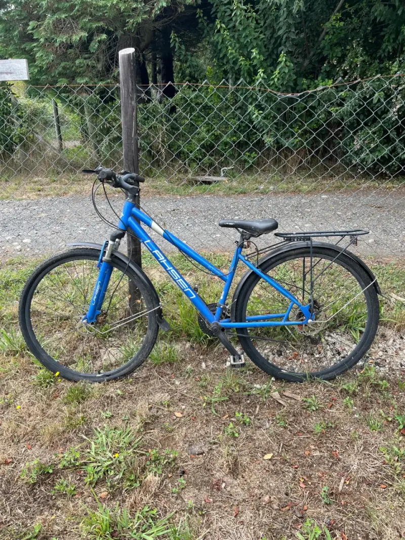 Bicicleta LASHEN - 1