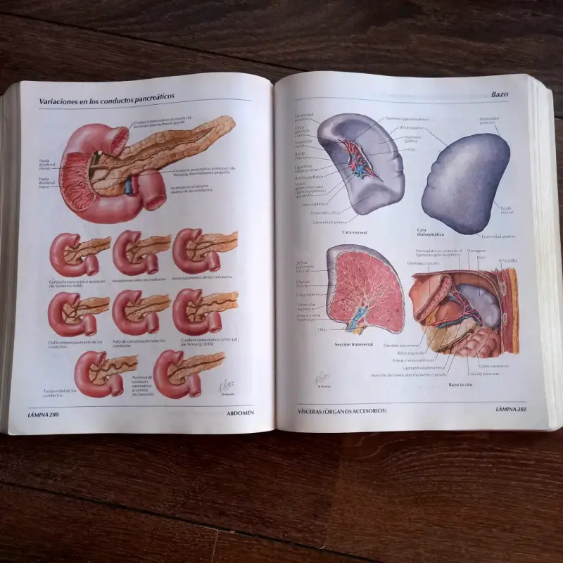 Atlas de Anatomía Humana, 2da Edición - 2