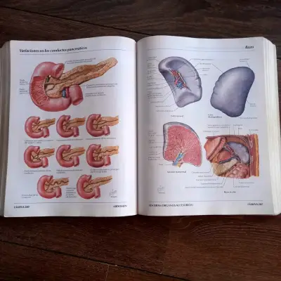 Atlas de Anatomía Humana, 2da Edición - miniatura 2