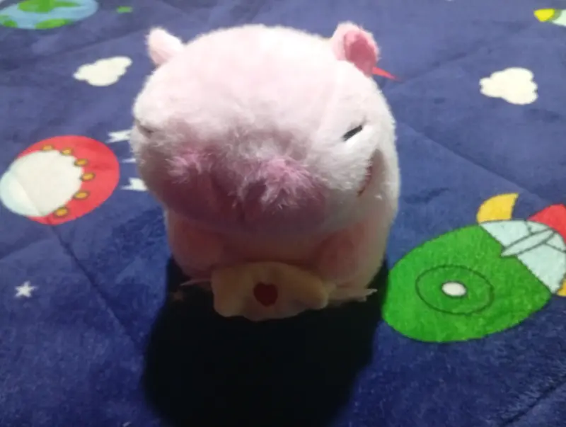 Peluche de capybara rosado - 2