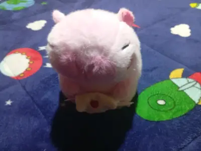 Peluche de capybara rosado - miniatura 2