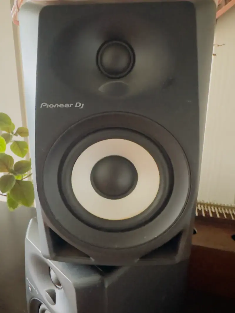 Parlantes Pioneer DJ con cables - 3