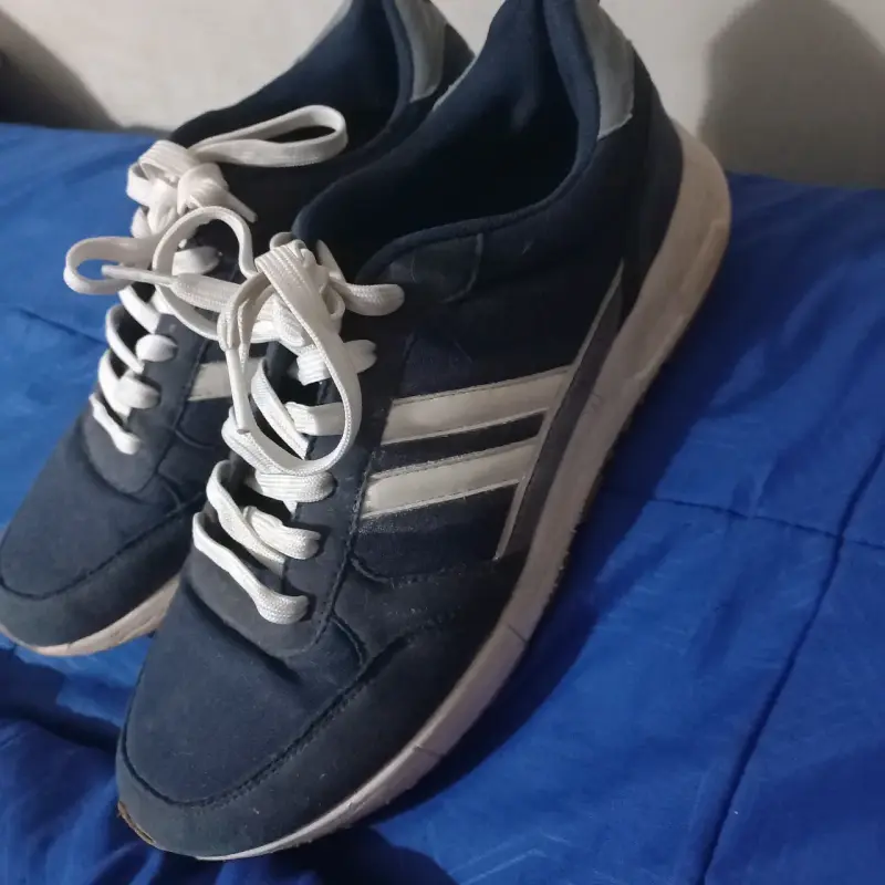 Zapatillas urbanas north star - 2