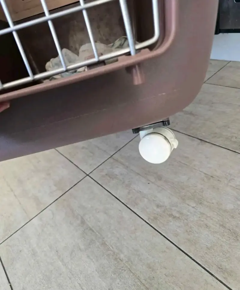 Transportadora para mascotas con ruedas - 2