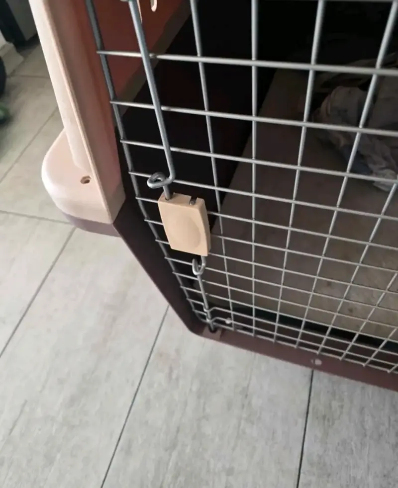Transportadora para mascotas con ruedas - 3