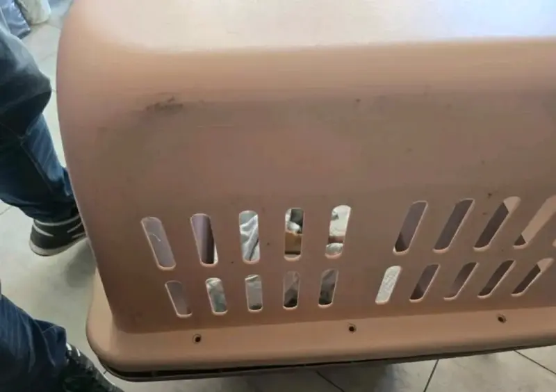Transportadora para mascotas con ruedas - 5