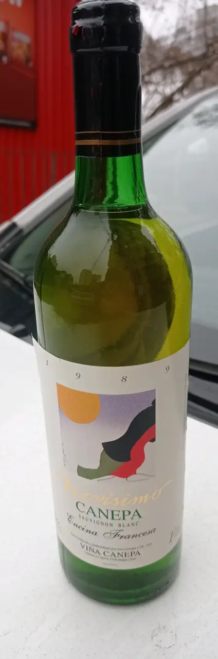 Botella de vino 1989,Canepa - 1