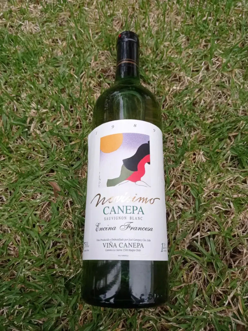 Botella de vino 1989,Canepa - 2