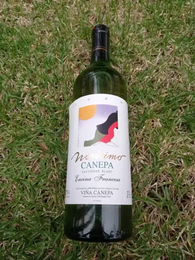 Botella de vino 1989,Canepa - miniatura 2