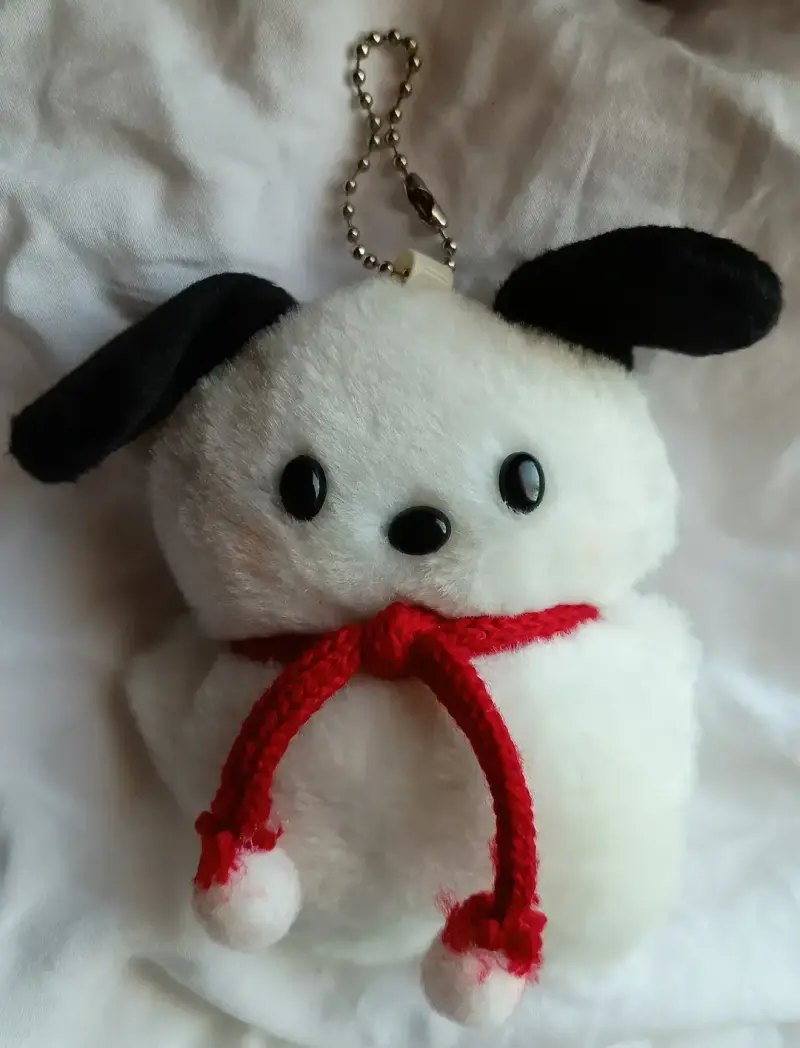Llaveros de Pochacco