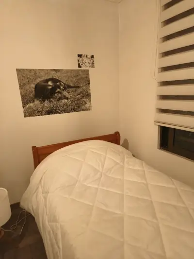 Cama individual - miniatura 2