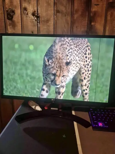 Monitor LG 24" IPS - miniatura 1