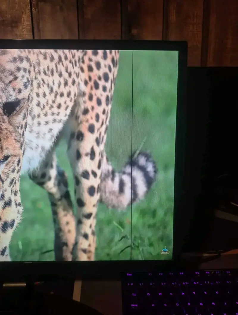 Monitor LG 24" IPS - 2
