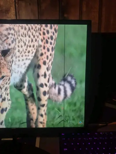 Monitor LG 24" IPS - miniatura 2