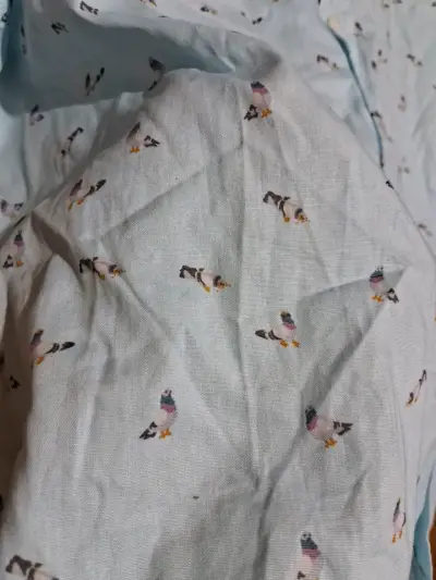 Camisa celeste palomas - miniatura 2