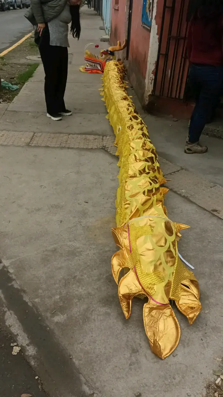 Dragón dorado - 4