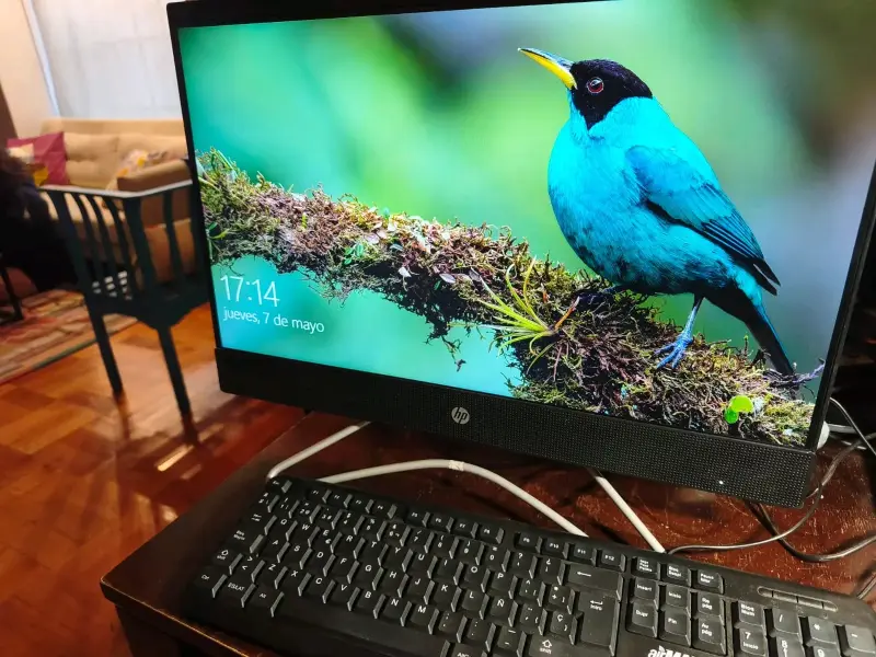 PC de escritorio HP con pantalla, all in one - 1