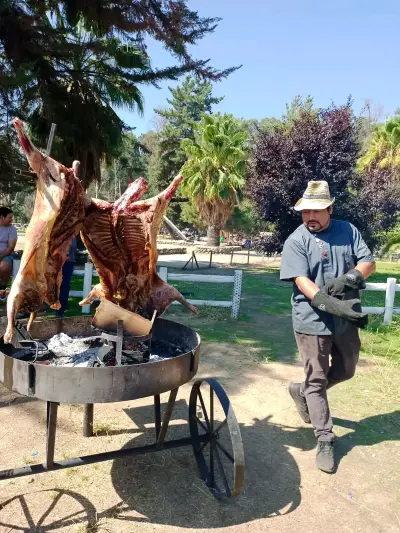 Parrilla asador de estructura metálica - miniatura 6