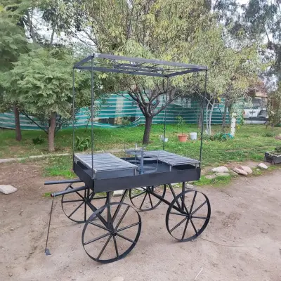 Carro fogón domo parrillero con ruedas - miniatura 1