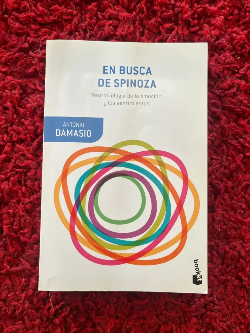 Libro 'En Busca de Spinoza'