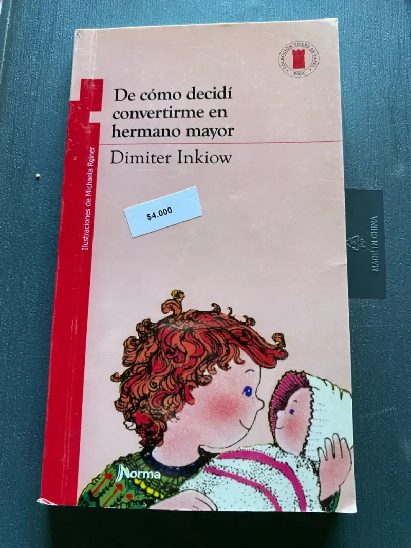 Libro 'De cómo decidí convertirme en hermano mayor'