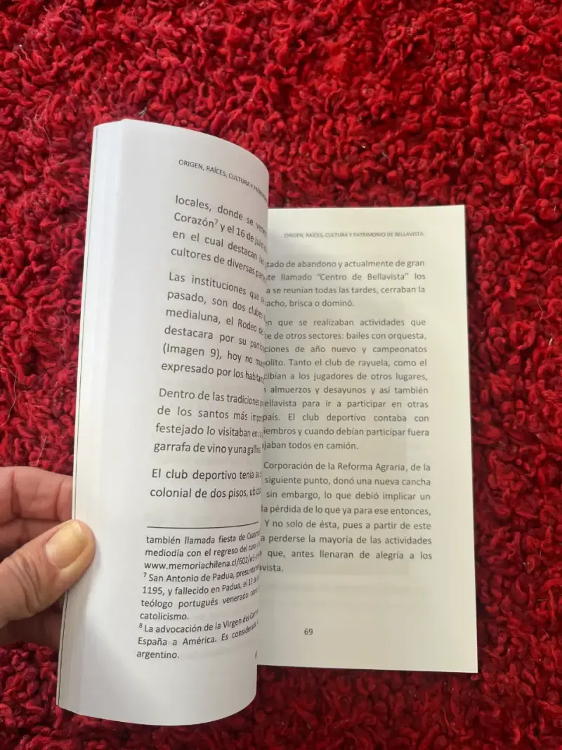 Libro origen Bellavista - 2