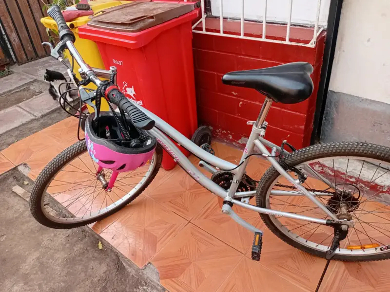 Bicicleta gris con casco