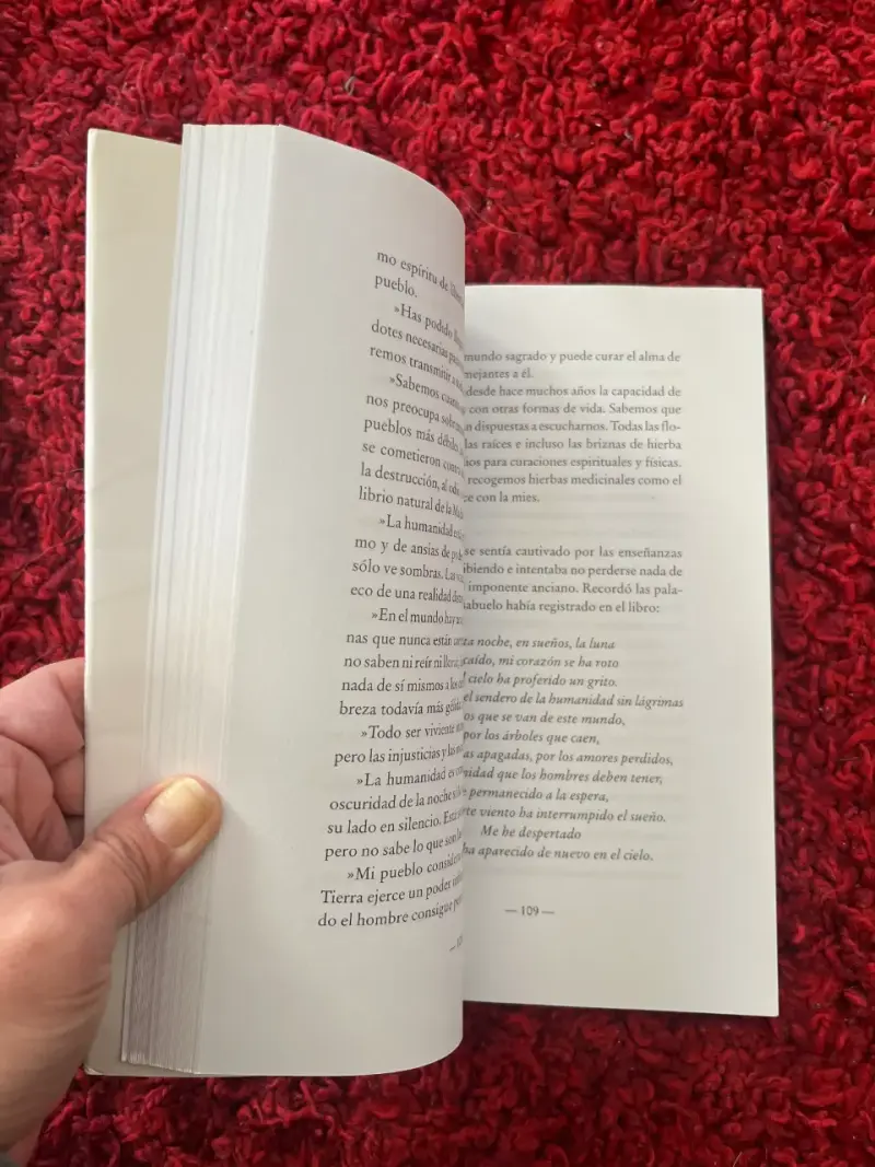 Libro El buscador de sueños - 2