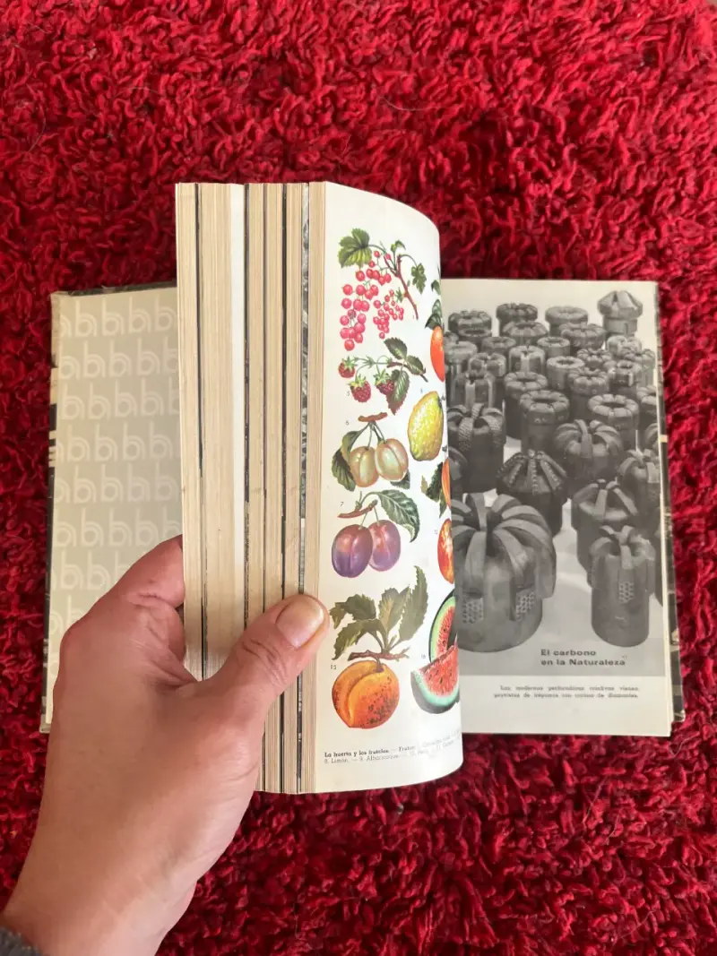 Libro 'El mundo del saber' - 2