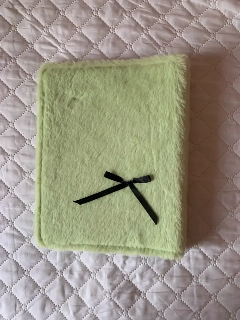 Binder/Carpeta aesthetic kawaii peludita verde - 3