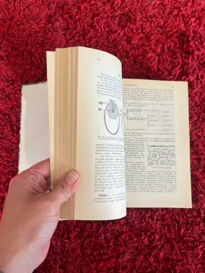 Libro Ciencias Físicas y Naturales - miniatura 2